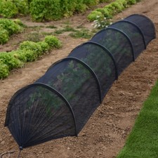 Cloche tunnel plants - tunnel,