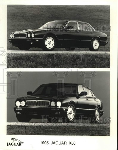 1995 press photo jaguar - 1995,