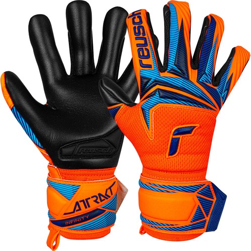 Reusch infinity evolution - evolution, nc