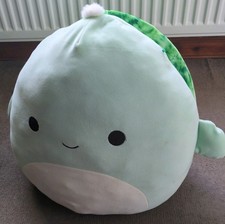 Barnes The Sea Turtle
