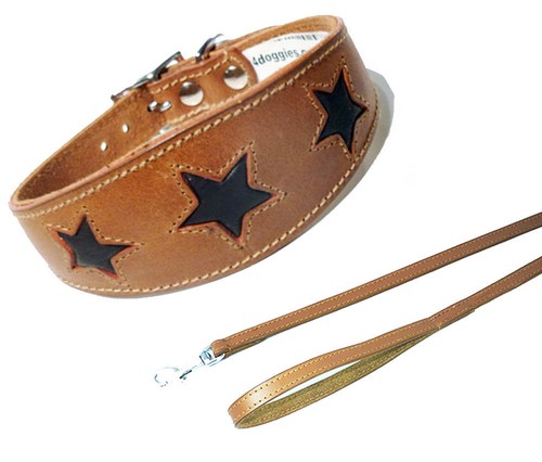Leather saluki collar - leather, afghan