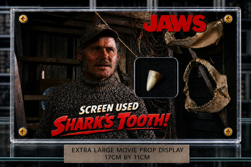 New screen used shark - new, xl