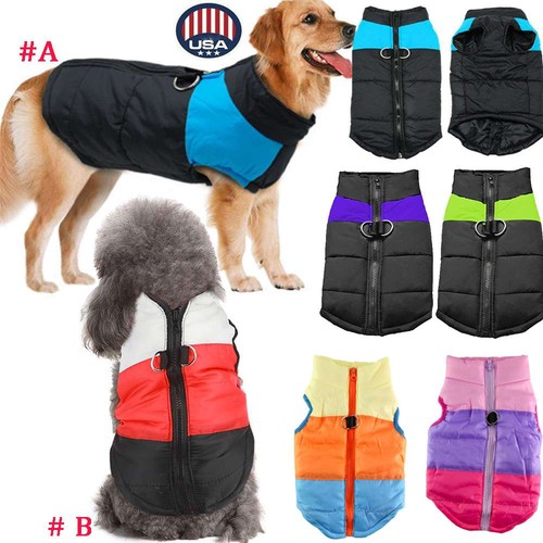 Warm dog jacket - dog, for