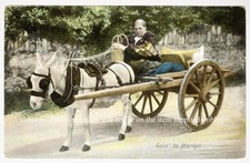 Ireland, Goin’ To Market Postcard c1905. Woman Driving Cart With Donkey