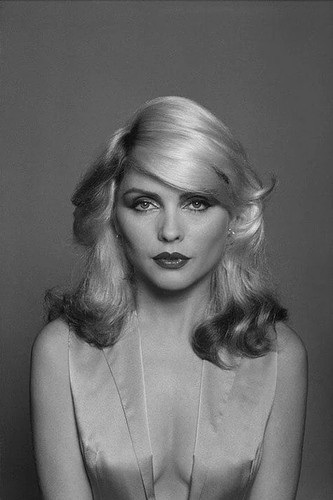 Blondie singer debbie harry - singer,