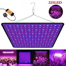 2000W LED Grow Light for