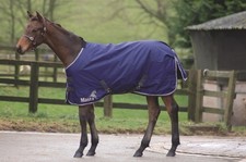 Masta Avante 170g Foal Turnout