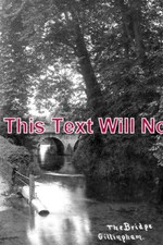 DO 1703 - The Bridge