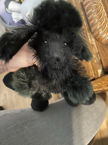 Cute ganz webkinz black poodle - webkinz,