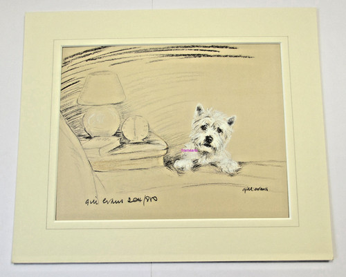 Westie bed gill evans - by,
