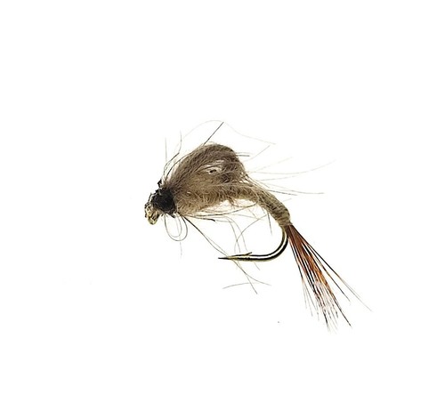 Cdc loop wing mayfly - 3,