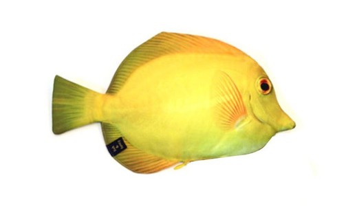 Yellow tang real fish like - yellow,