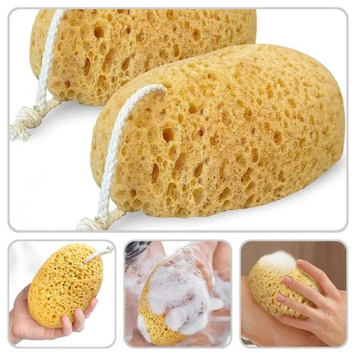 2pcs natural honeycomb - honeycomb, sea