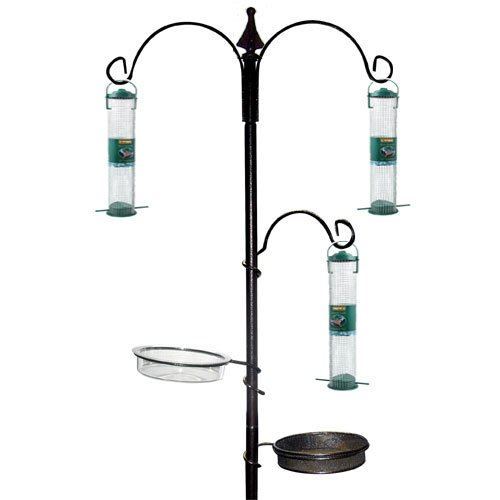 Wild bird feeding - ,