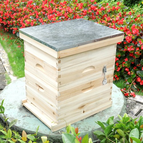 Tier wooden bee hive - uk,