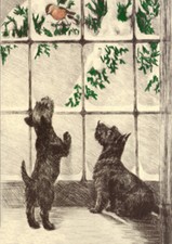 SCOTTISH TERRIER ROBIN SNOW