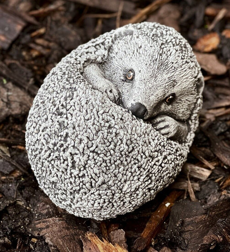 Baby hedgehog stone statue