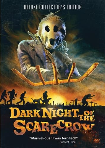 Dark night the scarecrow - dark,