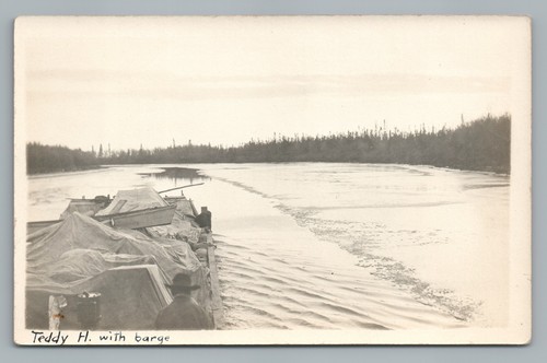 Teddy with barge kodiak - h,