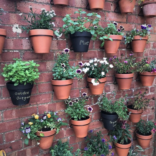 Steel plant pot hangers - 6,