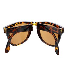 Zac's Alter Ego Foldable UV400