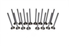 Full set of Engine Valves for