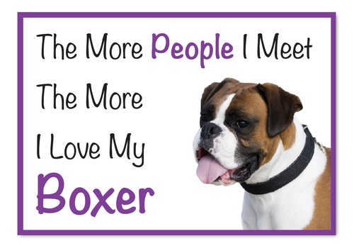 The more love boxer dog - the,