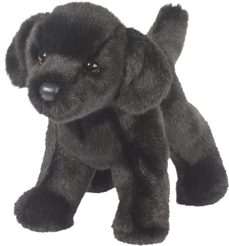 Douglas bear black lab dog - bear,