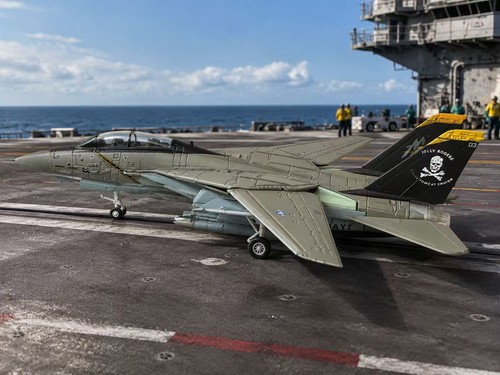 100 jolly rogers - 1:100, f-14