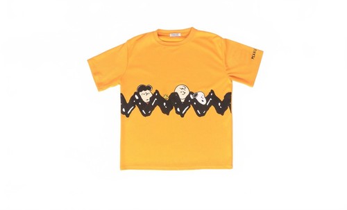 Peanuts charlie brown graphic - charlie,