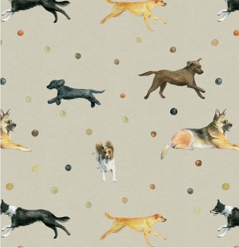Dog german shepherd - dog, spaniel