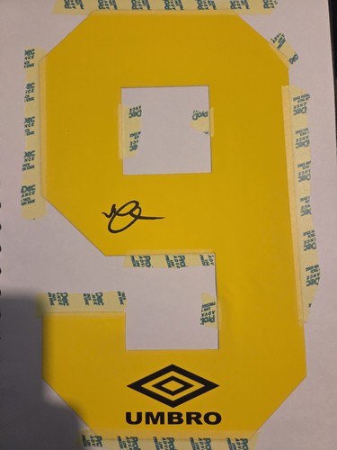 Ally mccoist hand signed - ally,