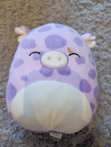 Squishmallows pammy the pig - squishmallows,