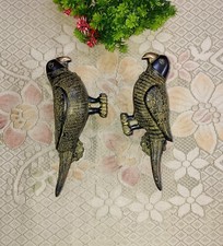 Male Female Parrot Design