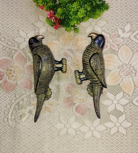 Male female parrot - male,