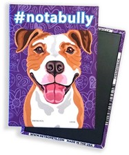 Pitbull Terrier Not A Bully