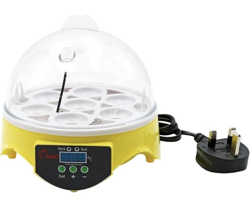 Egg incubator poultry - egg,