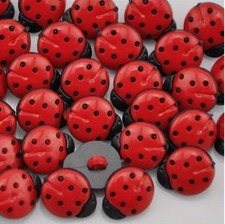 Cute Red Ladybird Buttons –