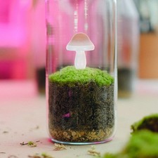  20 Pcs Mushroom Sculptures Adornment Mushrooms Decor Mini Figures