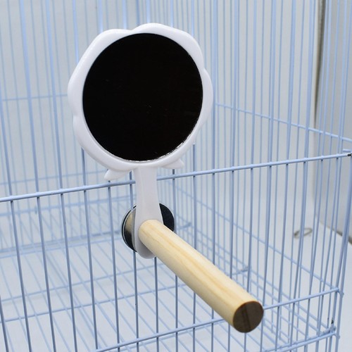 Bird perch with - perch, wooden
