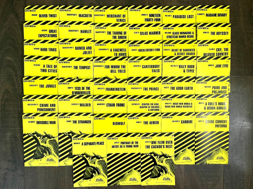 Lot novel cliffs notes - 45,