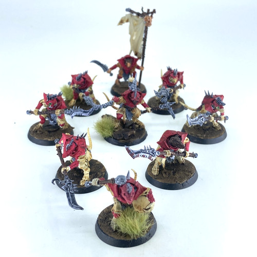 Skaven stormvermin - skaven,