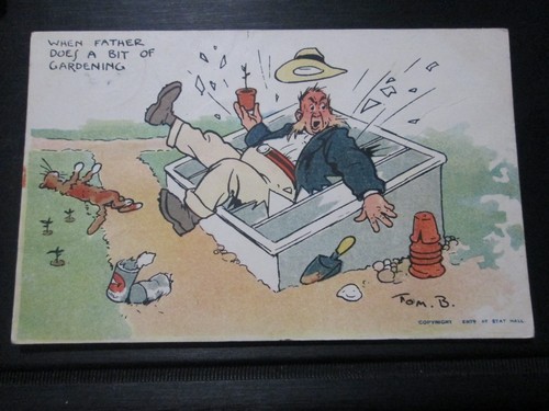 Tom browne comic - tom, postcard