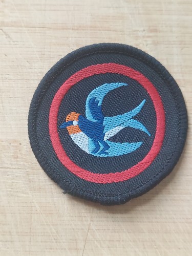 Girlguiding girl guide - uk,