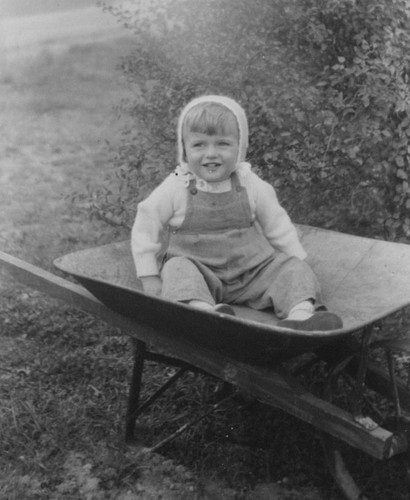 Child baby wheelbarrow outdoor - child,