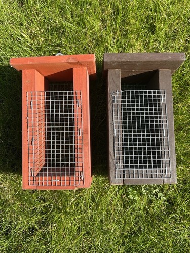 Bird feeders wood - bird,