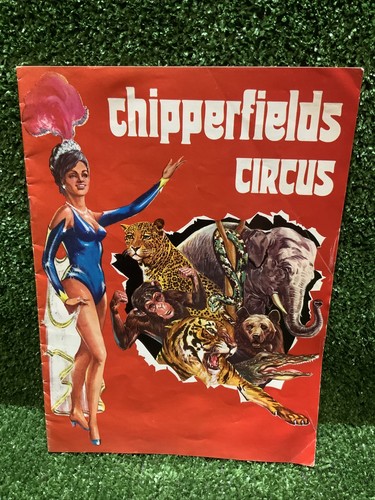 Rare chipperfield big - big, top