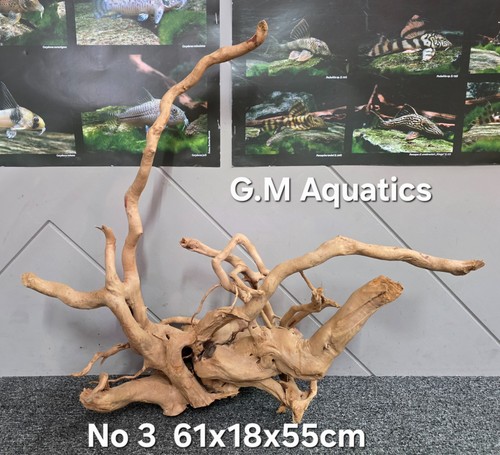 Red moor azalea wood - wood,