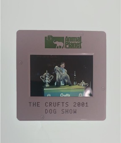 The crufts 2001 - crufts,