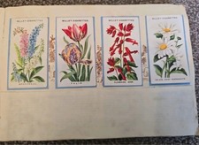 Antique: 1911-13. "Old English